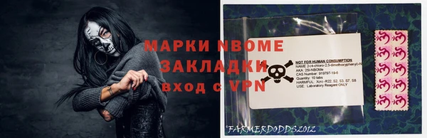 ешки Гусь-Хрустальный