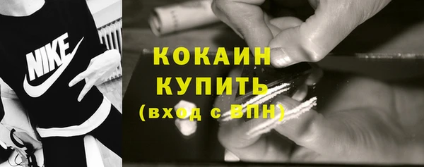 spice Гусев