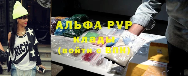 spice Гусев
