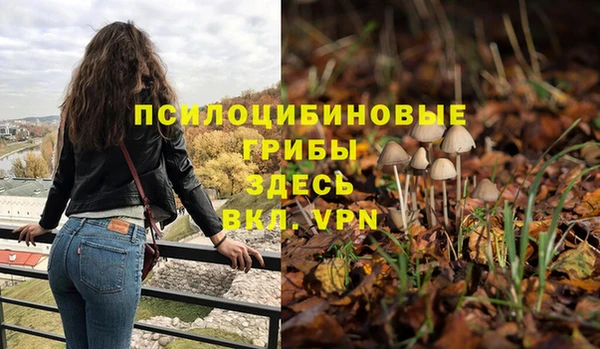 ешки Гусь-Хрустальный