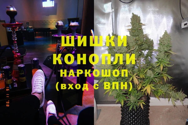 spice Гусев