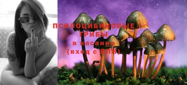 трава Горно-Алтайск