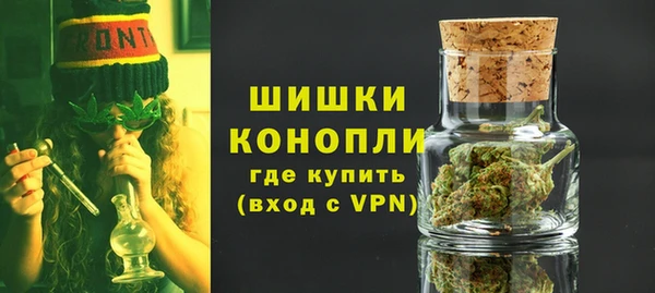 spice Гусев